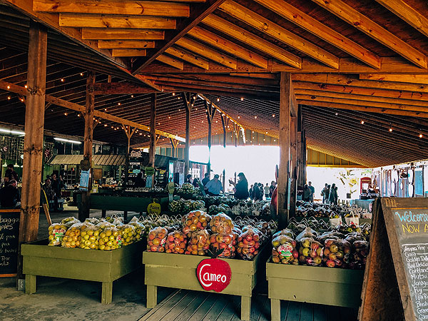 Sky Top Orchard Entrance with apple stands filled with apples for sale in their farm store