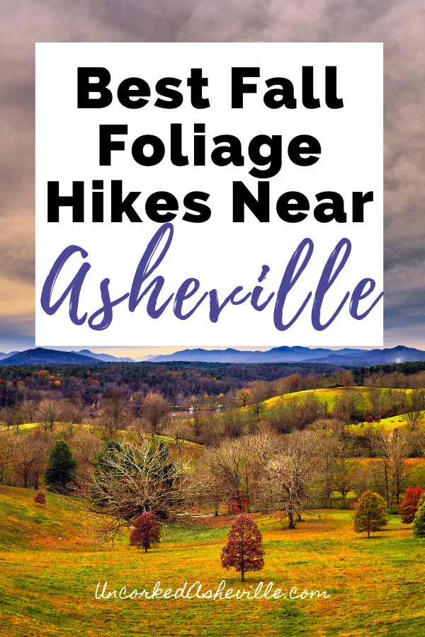 Best Fall Hikes Near Asheville NC Pinterest Pin with fall foliage at Biltmore