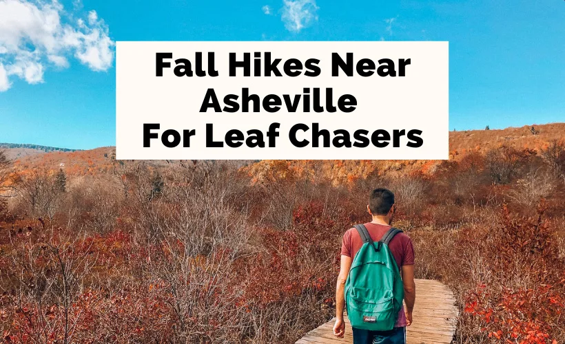 Best Fall Hikes Near Asheville, NC with brunette white male with green backpack hiking through fall foliage at Graveyard Loop