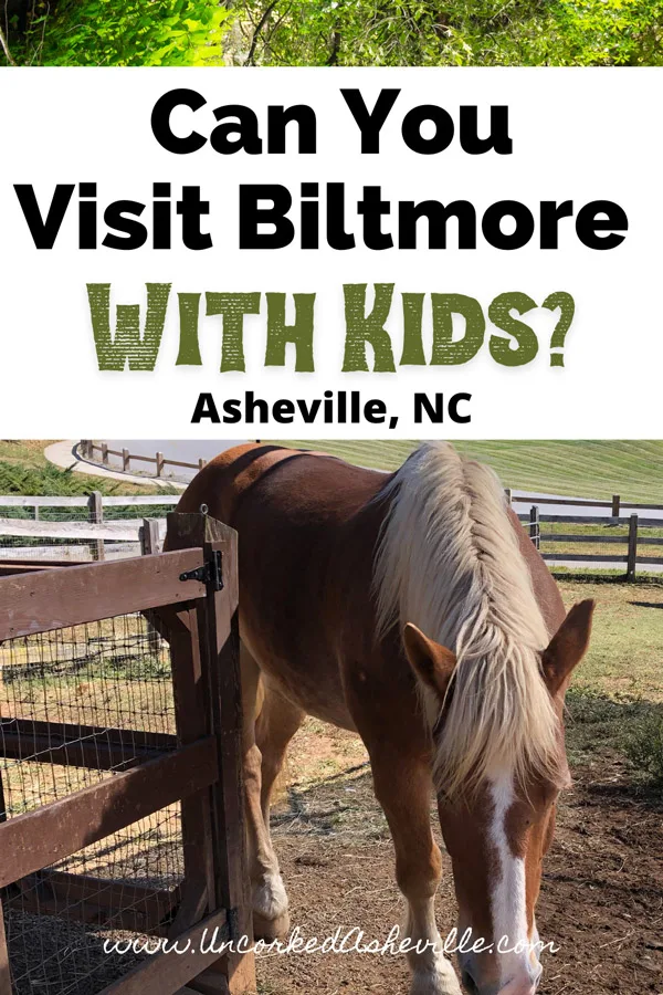 can you visit the Biltmore with kids Pinterest pin brown horse with sandy colored mane