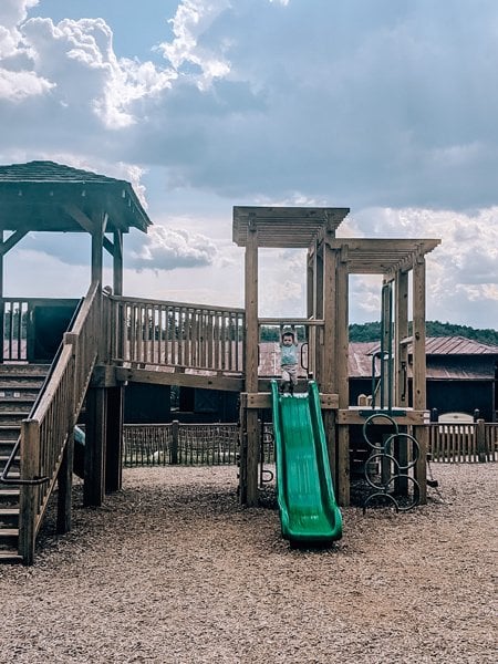 Pisgah Playground And Slide For Kids at Biltmore Estate