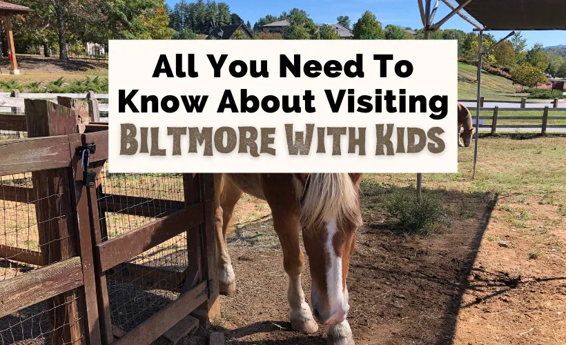Visiting Biltmore with kids with Biltmore Farmyard and brown and white horse grazing