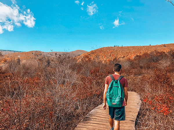 Tom on boardwalk with fall foliage at Graveyard Fields