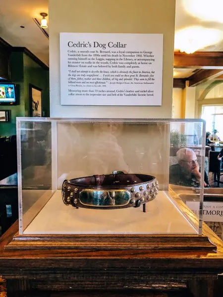 Cedrics Dog Collar in an exhibit case at Cedric's Tavern at Biltmore