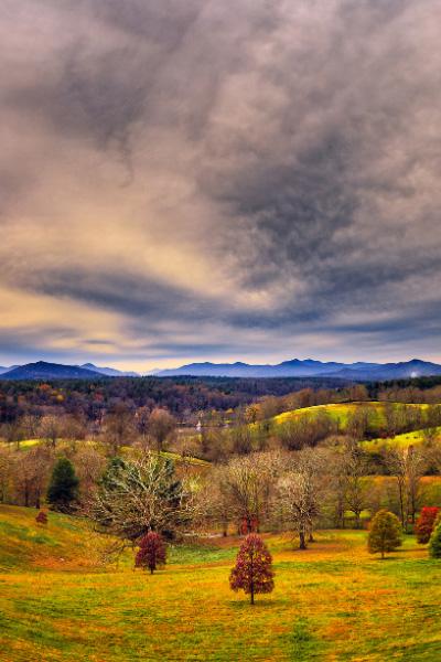 Views from Biltmore Estate Asheville NC with trees and Blue Ridge Mountains and Pisgah Forest