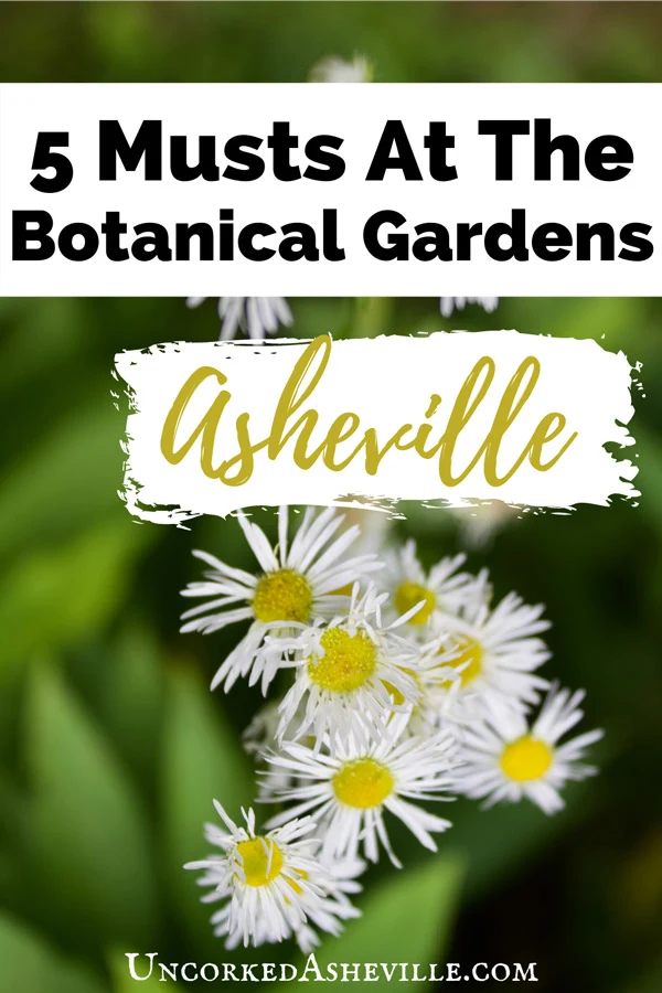 5 Things To Do At The Botanical Gardens At Asheville Pinterest pin with yellow and white flowers