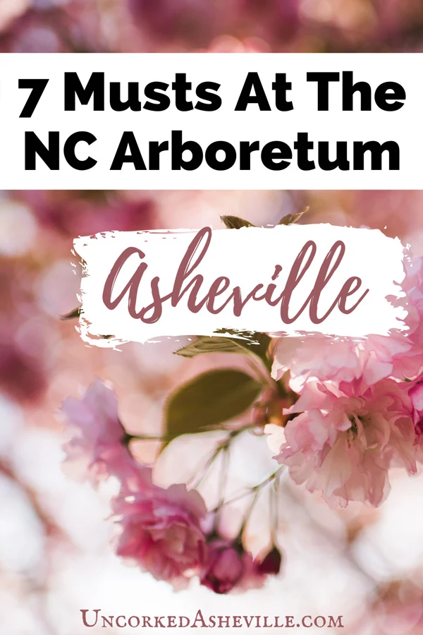 7 Things To Do NC Arboretum Asheville Pinterest pin with pink flowers