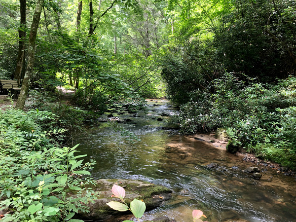 Bent Creek Trail Asheville Arboretum with bench in woods next to a stream with rocks