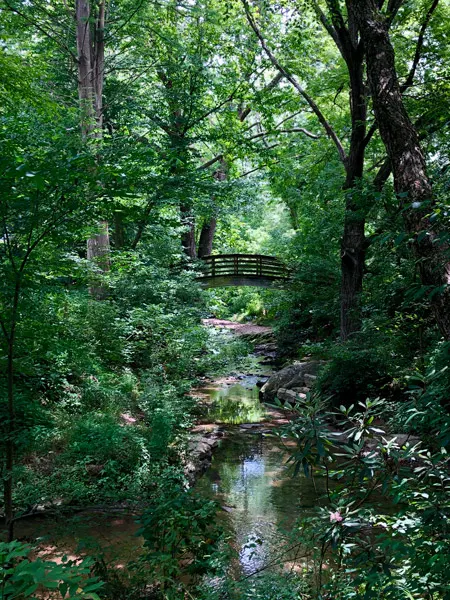 Bridge over a creek in the woods at the Botanical Gardens Asheville