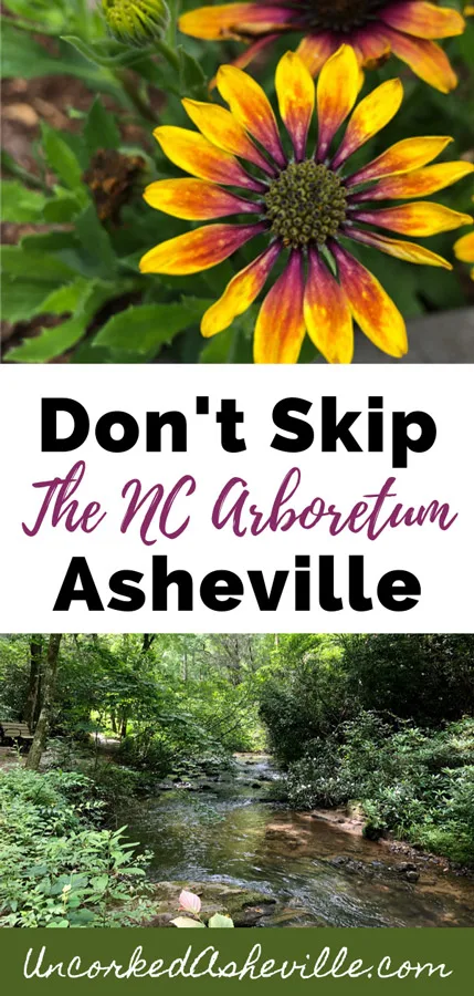 Don't Skip The NC Arboretum Asheville Pinterest pin with two pictures one with yellow, maroon, and orange flowers and the bottom with a bench on a trail next to a stream