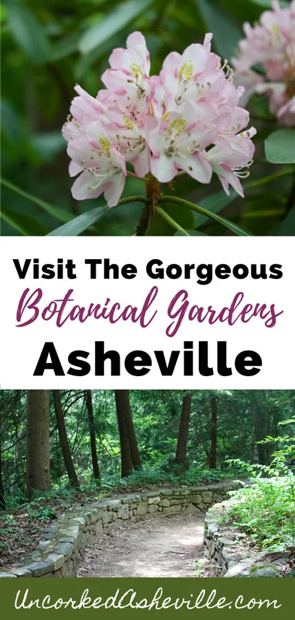 Asheville Botanical Gardens Pinterest pin with two images; top are pink and white flowers and bottom is trail lined by a stone wall