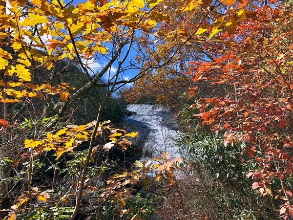 Lower Falls at Graveyard Fields in fall