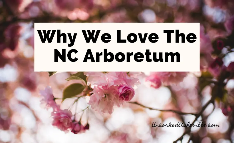 NC Arboretum Asheville North Carolina blog post cover with pink flowers and Why We Love The NC Arboretum written across it