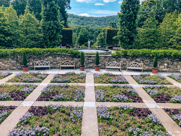 Quilt Gardens at NC Arboretum Asheville with quilted garden patten with purple flower with a fountain and trees and mountains in the background