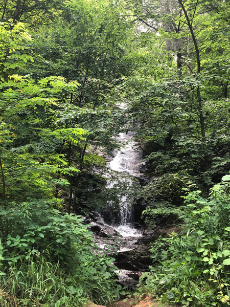 Roadside Waterfalls Near Asheville Walker Falls smaller waterfall cascading into brush