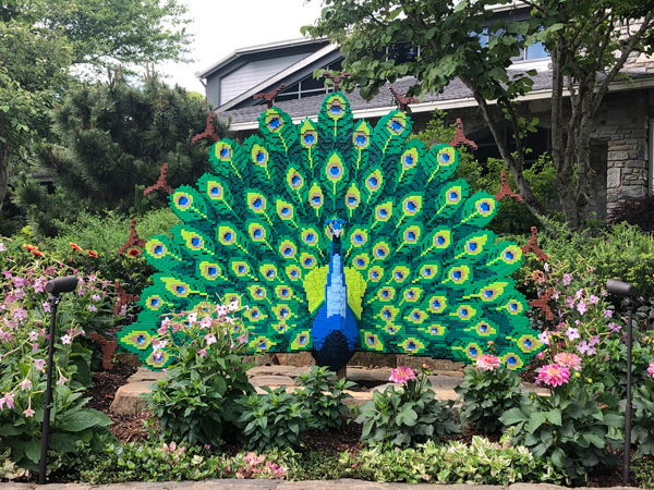 A special exhibit at The North Carolina Arboretum, which is a LEGO peacock display with blue peacock with green and yellow feathers