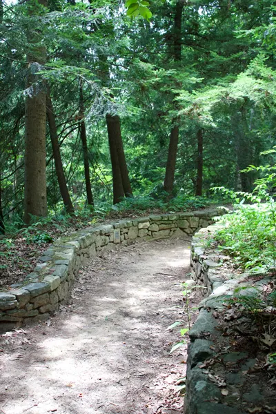 Trails at Botanical Gardens At Asheville with pathway lined with stone and surrounded by green trees