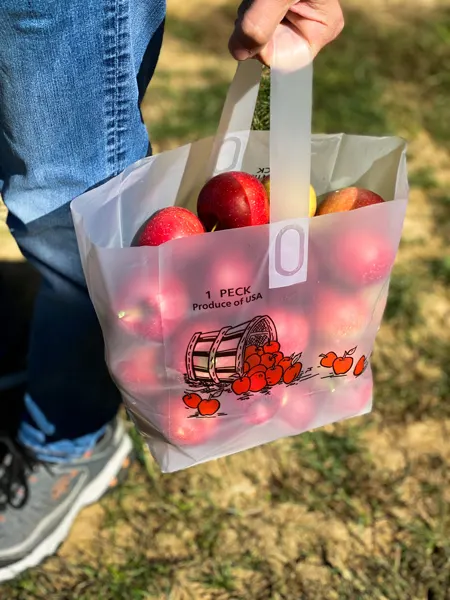 Apple Picking In Hendersonville NC with man in jeans holding bag of red U-Pick apples at Coston Farm