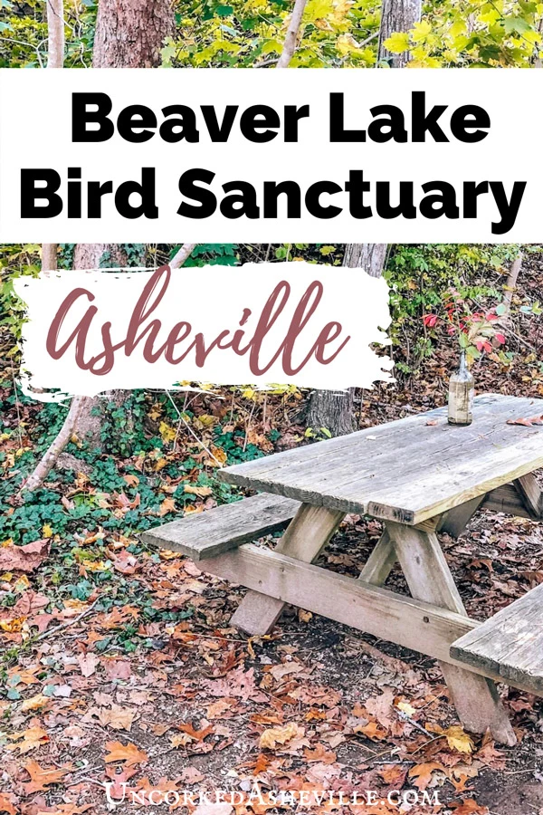 Beaver Lake Bird Sanctuary north Asheville with fall leaves and picnic table with vase and red flowers