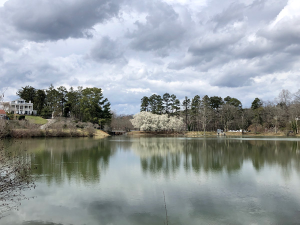 Beaver Lake Trail Asheville in spring with white blossom trees and a clear green gray lake with clouds