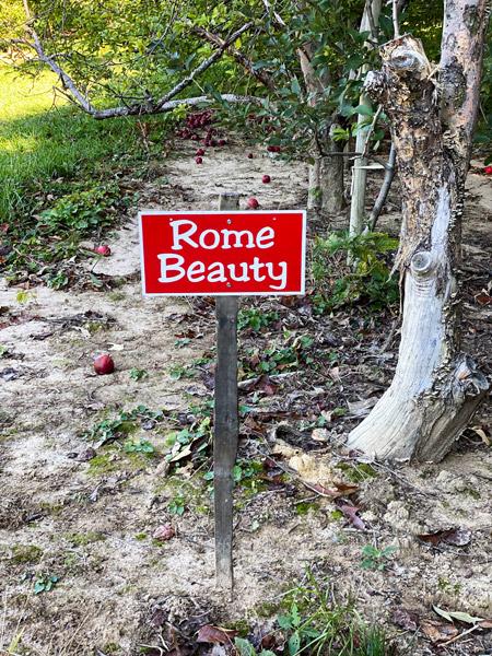 Coston Farm Hendersonville NC with red sign for Rome Beauty apples in apple orchards