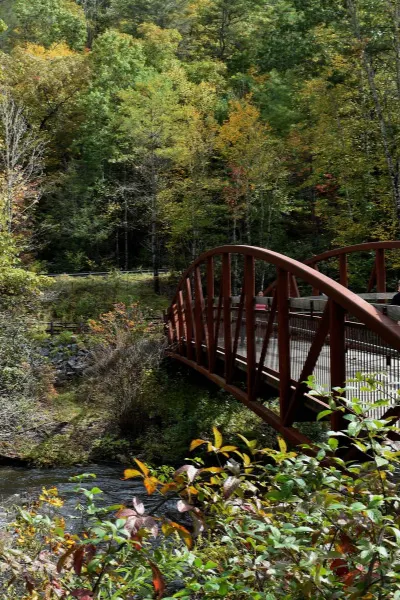 DuPont State Forest Hooker Falls Access Area Bridge