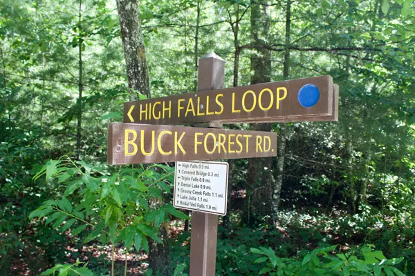 DuPont State Forest Trails and Hikes Signs saying High Falls Loop and Buck Forest Road