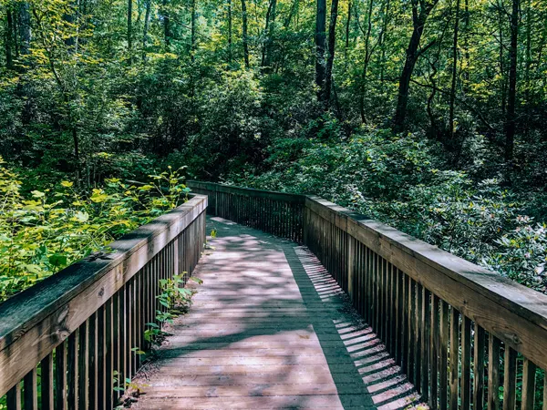 DuPont State Forest Visitor Center Entrance with wooden walkway in into the green forest