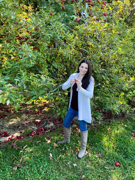 Hendersonville apple picking Coston Farm with white brunette woman in sweater and boots picking red Rome apples from apple tree