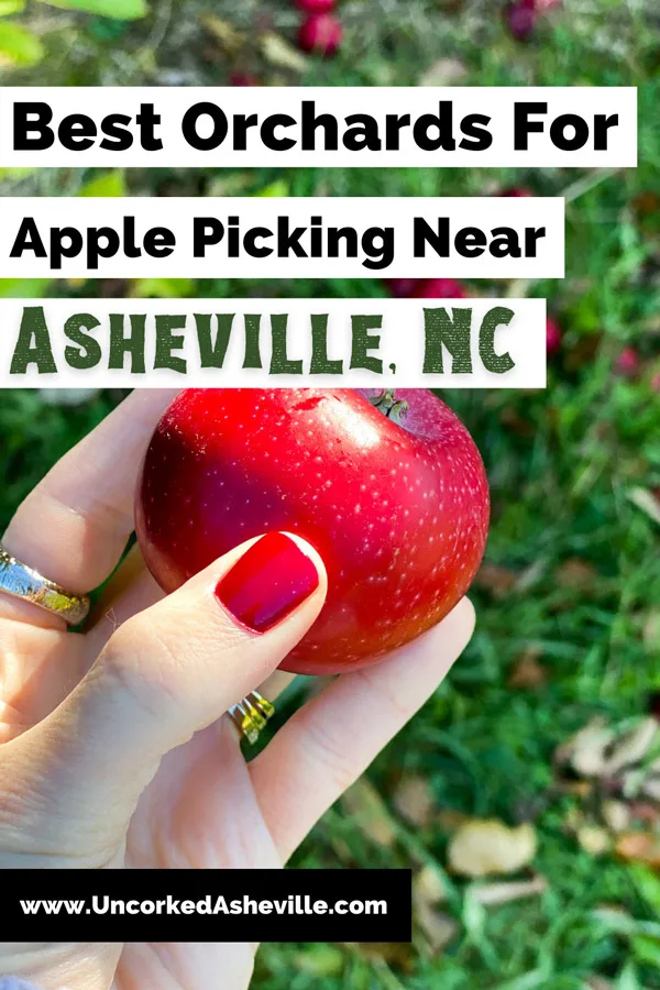 Hendersonville NC Apple Orchards and Apple Picking Pinterest Pin with white hand with red nails holding a red apple on Coston Farm apple orchard in Hendersonville