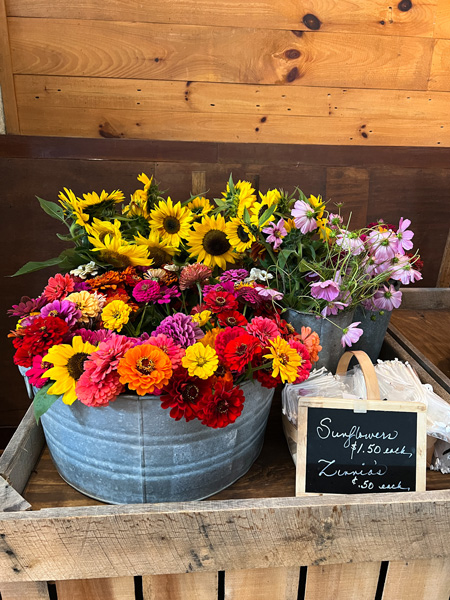 Jeter Mountain Farm Country Store Flowers with sunflowers in one vase and pink, orange, purple and yellow flowers in another