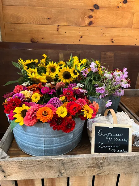 Jeter Mountain Farm Country Store Flowers with sunflowers in one vase and pink, orange, purple and yellow flowers in another