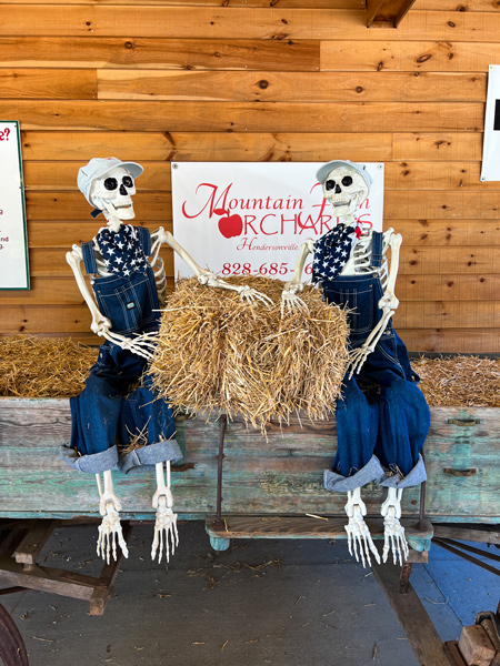 Mountain Fresh Orchards in Hendersonville, NC with two skeletons holding bale of hay and orchard sign