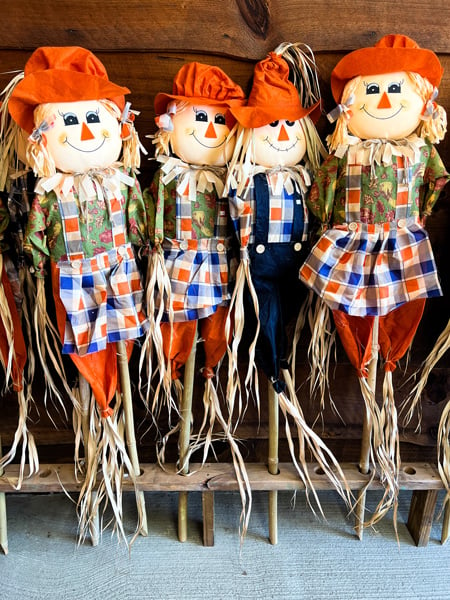 Mountain Fresh Orchards Hendersonville North Carolina decorative Scarecrows in a row with orange pants and hats and plaid like tops with straw hair