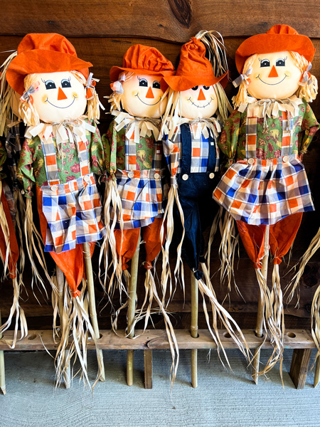 Mountain Fresh Orchards Hendersonville North Carolina decorative Scarecrows in a row with orange pants and hats and plaid like tops with straw hair