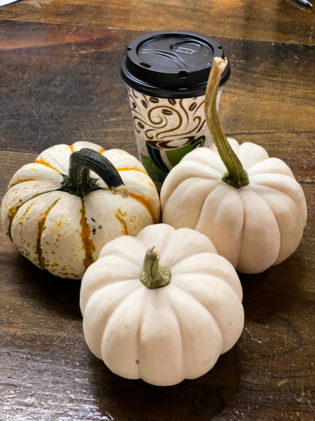 Sky Top Orchard Farm and Store with three tiny white pumpkins and a to-go coffee