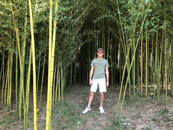 Sky Top Orchard in Flat Rock Bamboo Forest white male wearing a hat, sunglasses, and green shirt standing in a bamboo forest