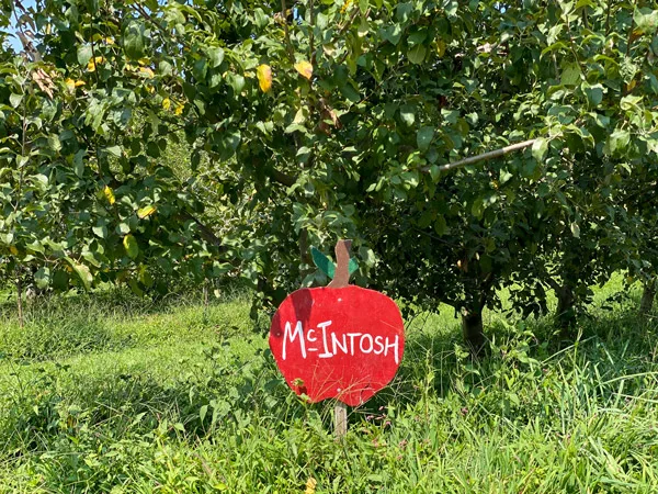 UPick Apples Sky Top Orchard Flat Rock NC with sign for McIntosh apples with apple trees