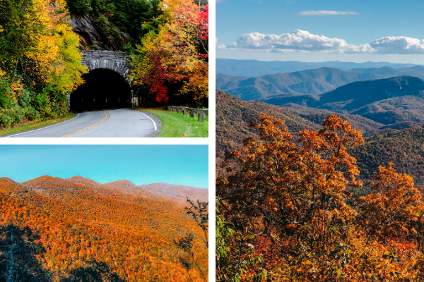 Asheville Fall On the Blue Ridge Parkway collage with BRP tunnel, pictures around Looking Glass, and fall foliage leaves in the mountains