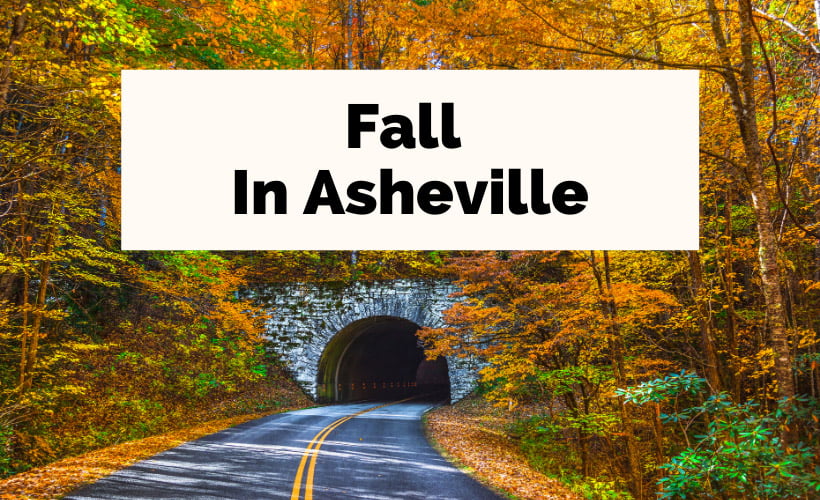 Asheville Fall and Fall In Asheville Blue Ridge Parkway tunnel with orange and golden leaves