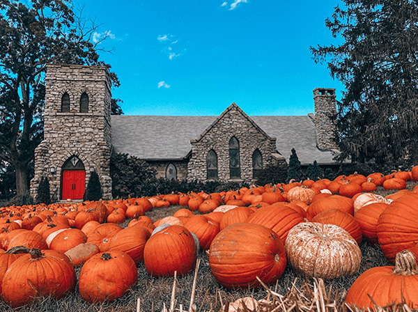 Asheville NC Fall Grace Episcopal Church Pumpkin Patch