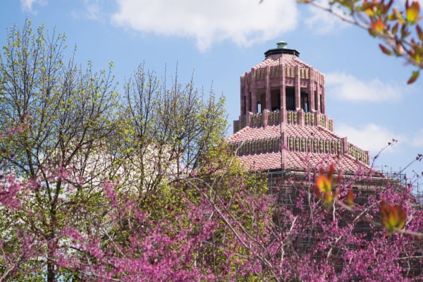 Asheville Parks Pack Square with purple blooming tree flowers and Asheville's city hall