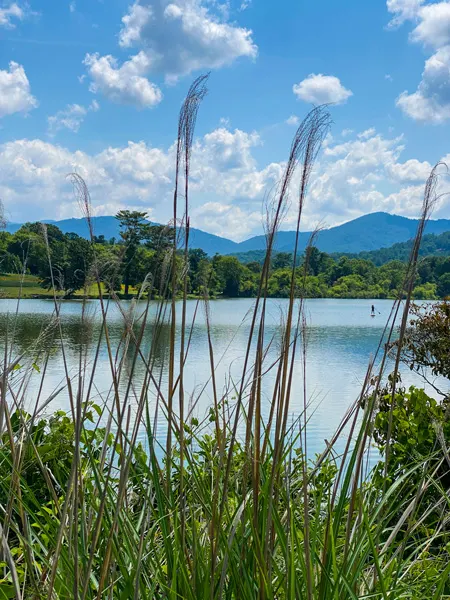 Beaver Lake Trail Asheville NC with Blue Ridge Mountains, shimmering blue lake, and paddle boarder on lake surrounded by tall grass