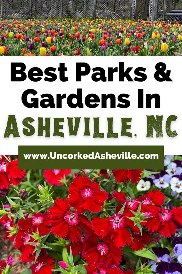 Best Asheville Parks Gardens Pinterest pin with Biltmore Blooms in the Biltmore Estate Walled garden with brown trellis and red, yellow, and pink tulips and image of red flowers from The NC Arboretum gardens in Asheville