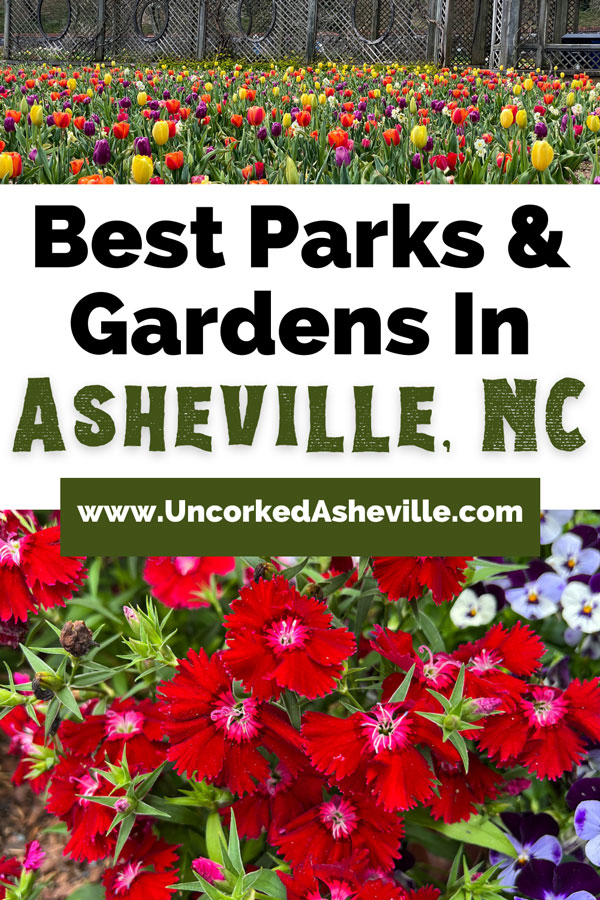 Best Asheville Parks Gardens Pinterest pin with Biltmore Blooms in the Biltmore Estate Walled garden with brown trellis and red, yellow, and pink tulips and image of red flowers from The NC Arboretum gardens in Asheville