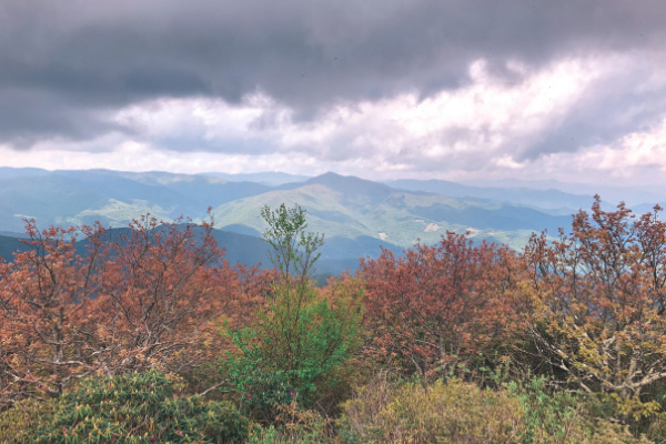 Blue Ridge Parkway Hikes Near Asheville Mount Pisgah view from observation tower