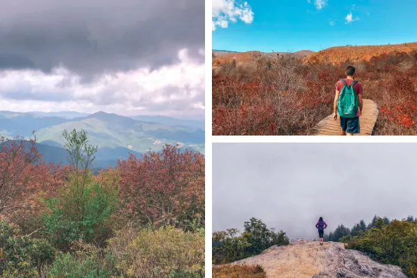 Blue Ridge Parkway Hikes Near Fryingpan Mountain Hike collage with three pictures of Mount Pisgah hike, Black Balsam Knob Hike, and Graveyard Fields Hike in the fall