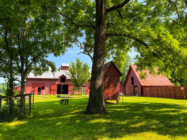 Carl Sandburg Home Barn Trails with red barn, green grass, and tree