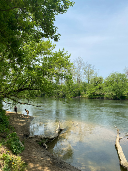 French Broad River City Park in Asheville with blue-ish brown French Broad River with two people and dog in distance on rock near water