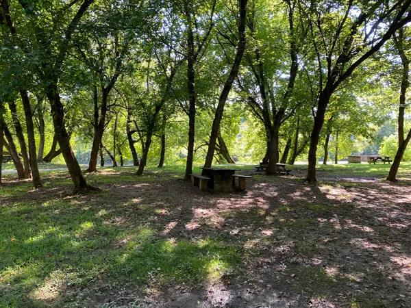 French Broad River Park in Asheville NC with trees and wooden picnic table